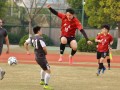余杭专业足球馆收费吗，杭州余杭专业足球场